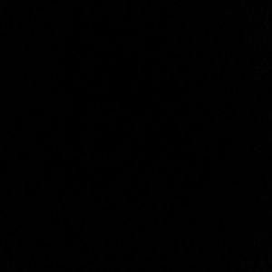 Meet your Posher, Mia